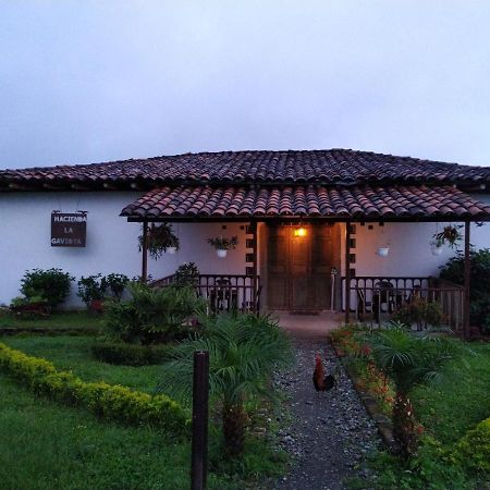Willa Hacienda Cafetera La Gaviota Chinchiná Zewnętrze zdjęcie