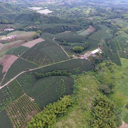 Willa Hacienda Cafetera La Gaviota Chinchiná Zewnętrze zdjęcie