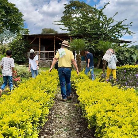 Willa Hacienda Cafetera La Gaviota Chinchiná Zewnętrze zdjęcie