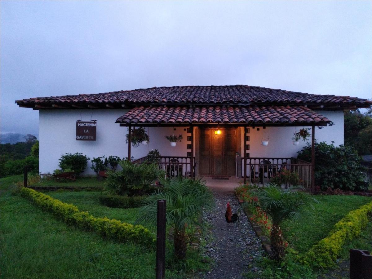 Willa Hacienda Cafetera La Gaviota Chinchiná Zewnętrze zdjęcie