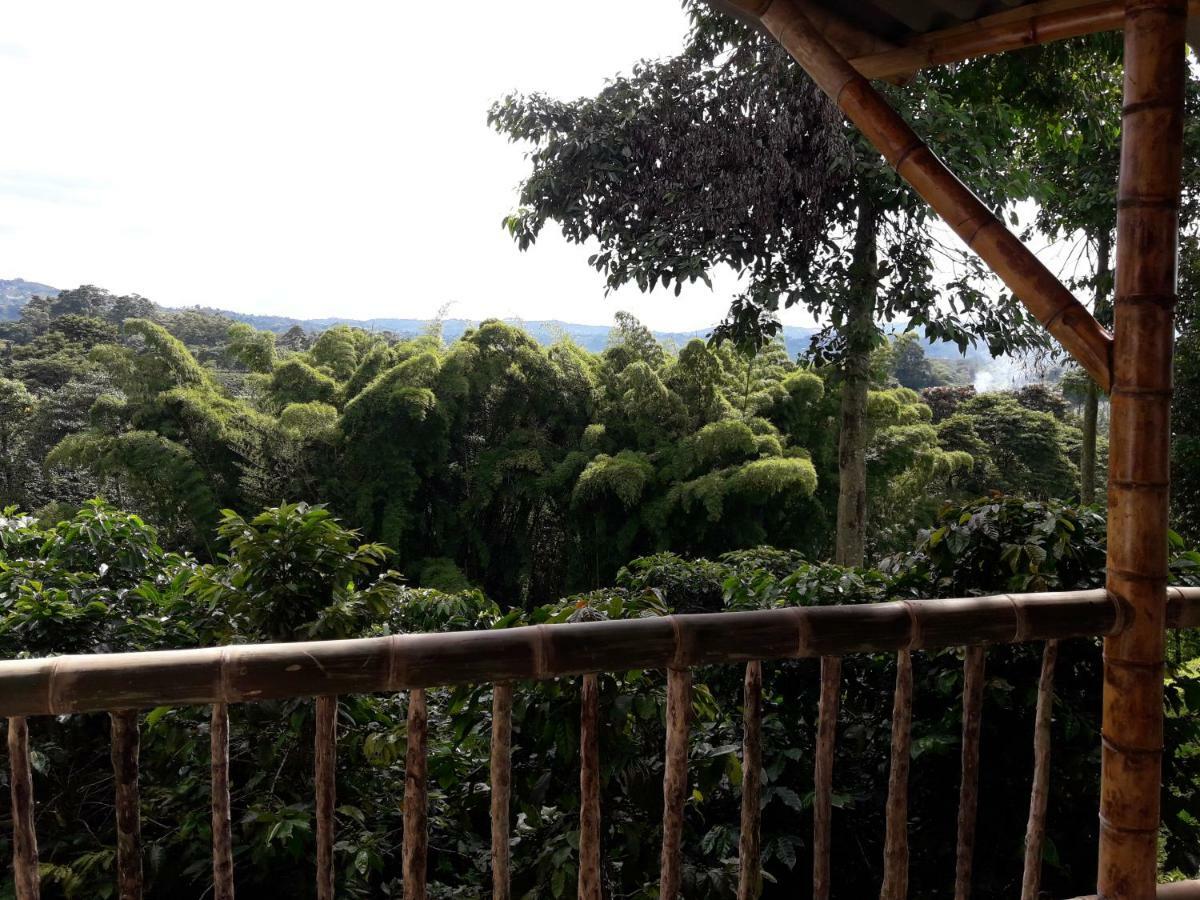 Willa Hacienda Cafetera La Gaviota Chinchiná Zewnętrze zdjęcie