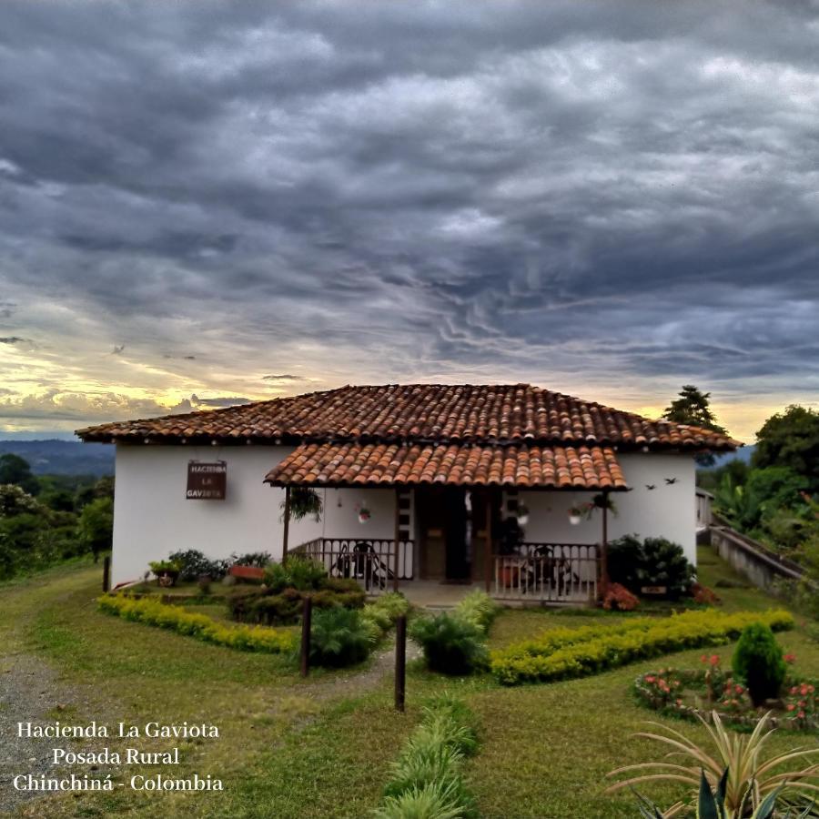 Willa Hacienda Cafetera La Gaviota Chinchiná Zewnętrze zdjęcie